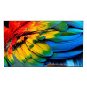 Philips IPTV,50 Media Suite, 4K UHD, 