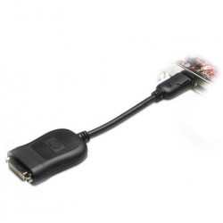 HPI DisplayPort to DVI-D Adapter (484156-001)