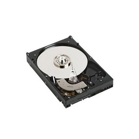 Dell HDD 500GB S3 7,2K (2PKVY)