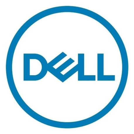 Dell Trusted Platform Module 2.0 CK (461-AAEN)