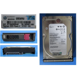 Hewlett Packard Enterprise DRV HD 2TB 6G 7.2K 3.5 SATA LP (797523-001)